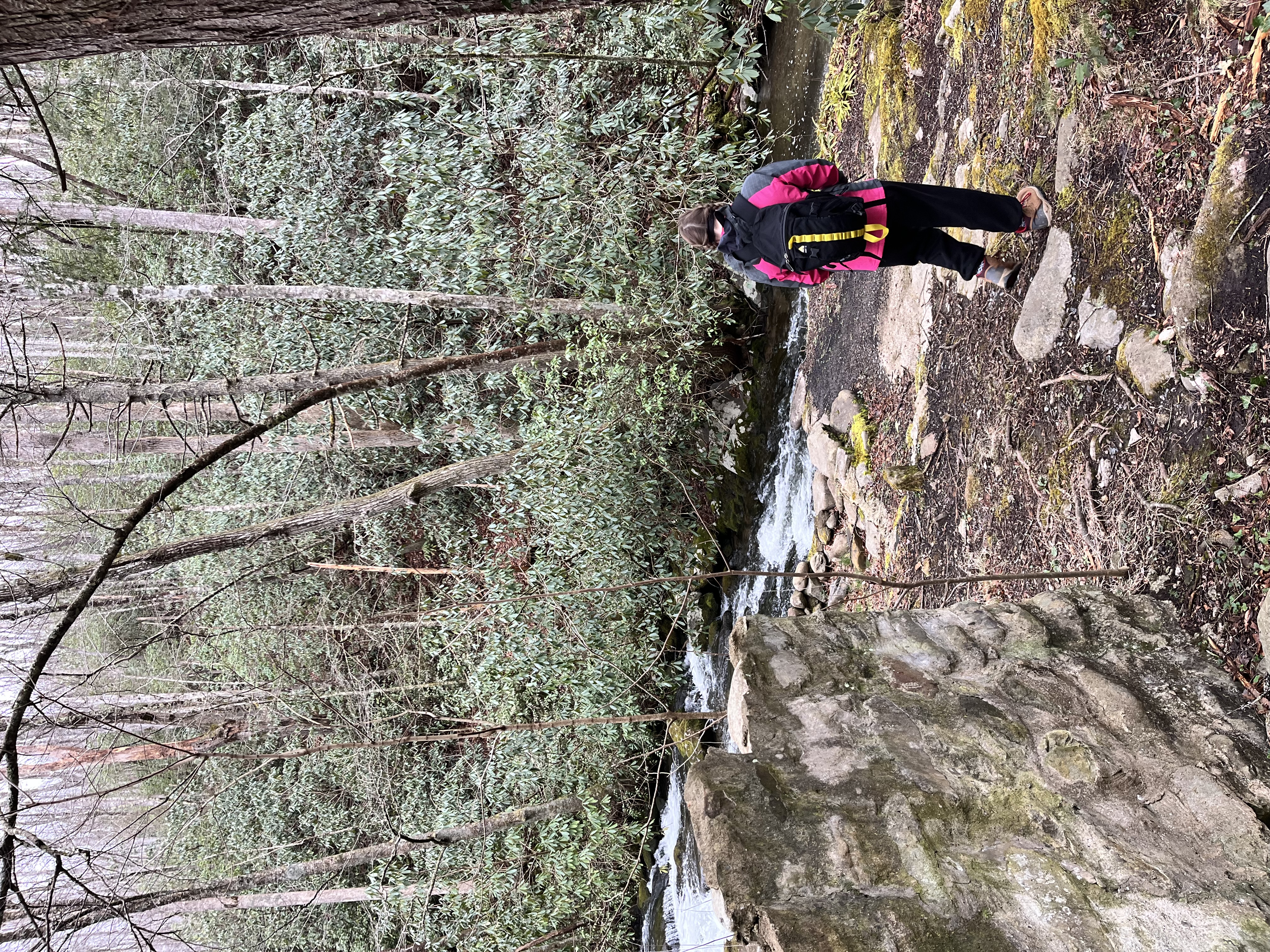 Hiking